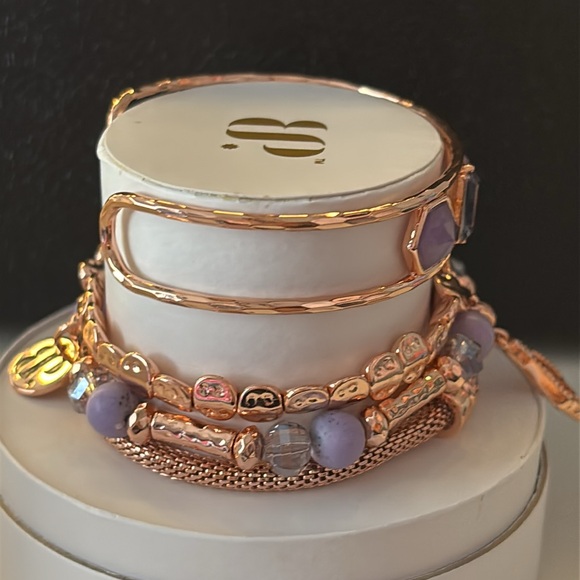 bp spring stack 2025 - Picture 5 of 5